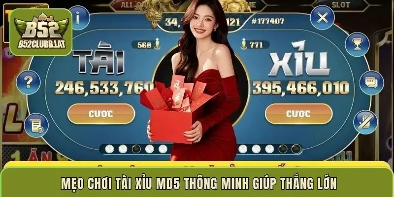  Mẹo chơi Tài xỉu MD5 thông minh giúp thắng lớn
