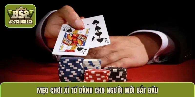 Mẹo chơi Xì Tố dành cho người mới bắt đầu